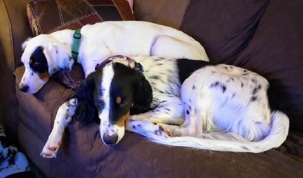 WELL DESERVED REST