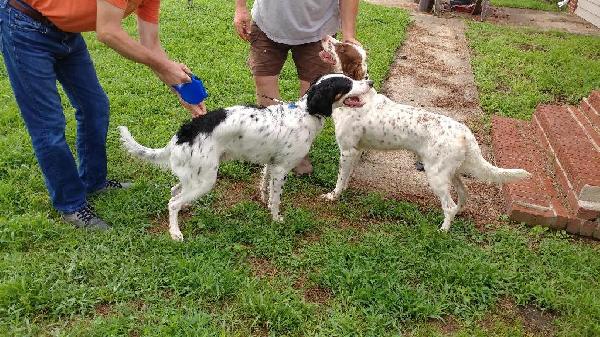 FATHER (CHARLIE) AND SON (BUDDY)