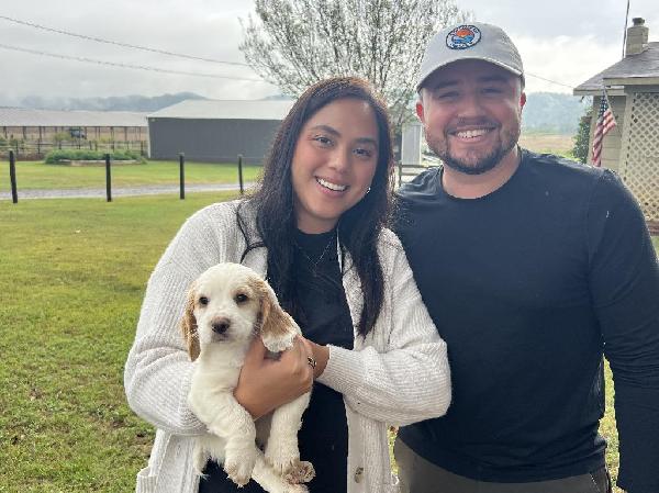 HAPPY NEW DREAM PUP OWNERS