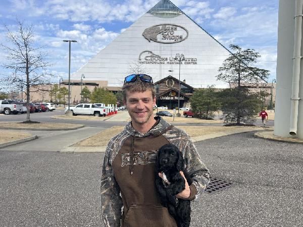 WE MAKE DREAMS COME TRUE!!