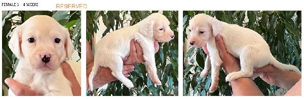 2024 FEMALE 3 - 4 WEEKS