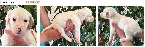 2024 FEMALE 4 - 4 WEEKS