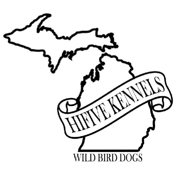HIFIVE KENNELS