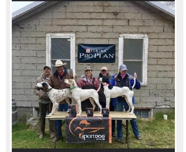 2018 NATIONAL CHUKAR DERBY CLASSIC