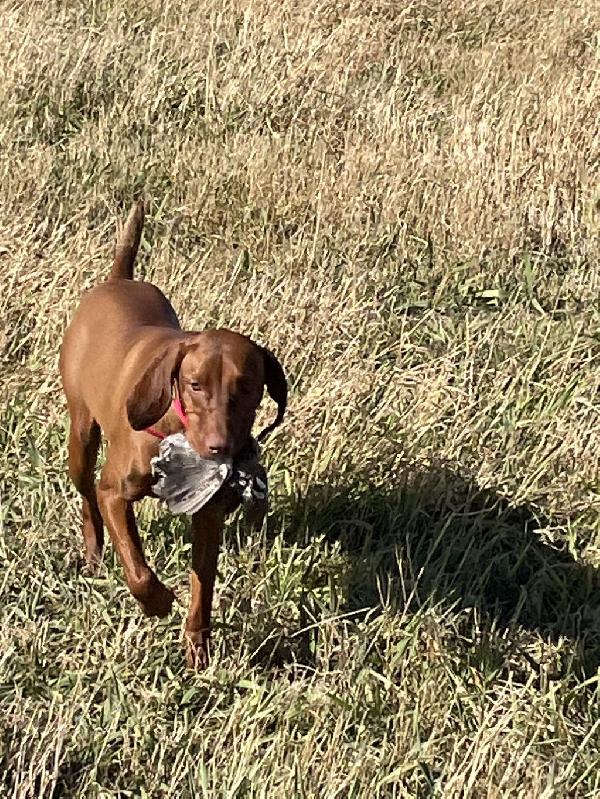 DELTA IN ACTION
