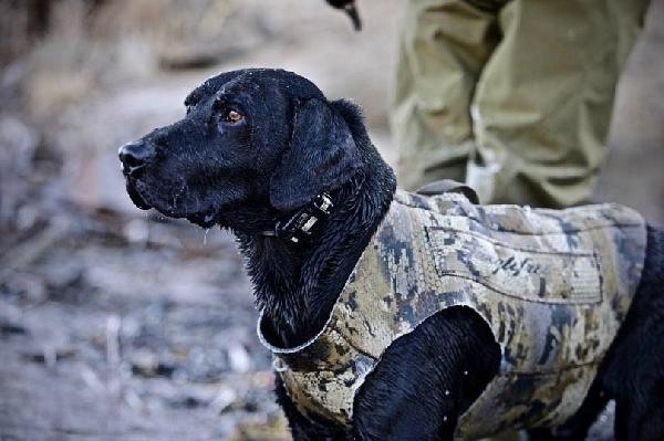 LONG HOLLOWS DELTA GUNNER MNH