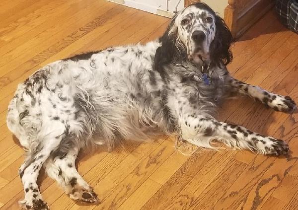 RAVEN A FEW DAYS AWAY