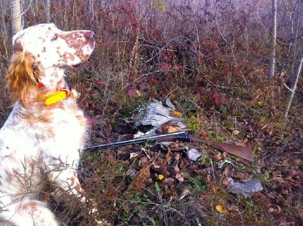 JASPER AND GROUSE