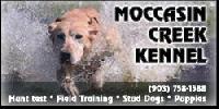 MOCCASIN CREEK KENNEL