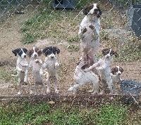 BOATNERS ELHEW EXPLORER X PINEHILL ELHEW SEAW
