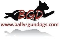 BALLYS GUN DOGS